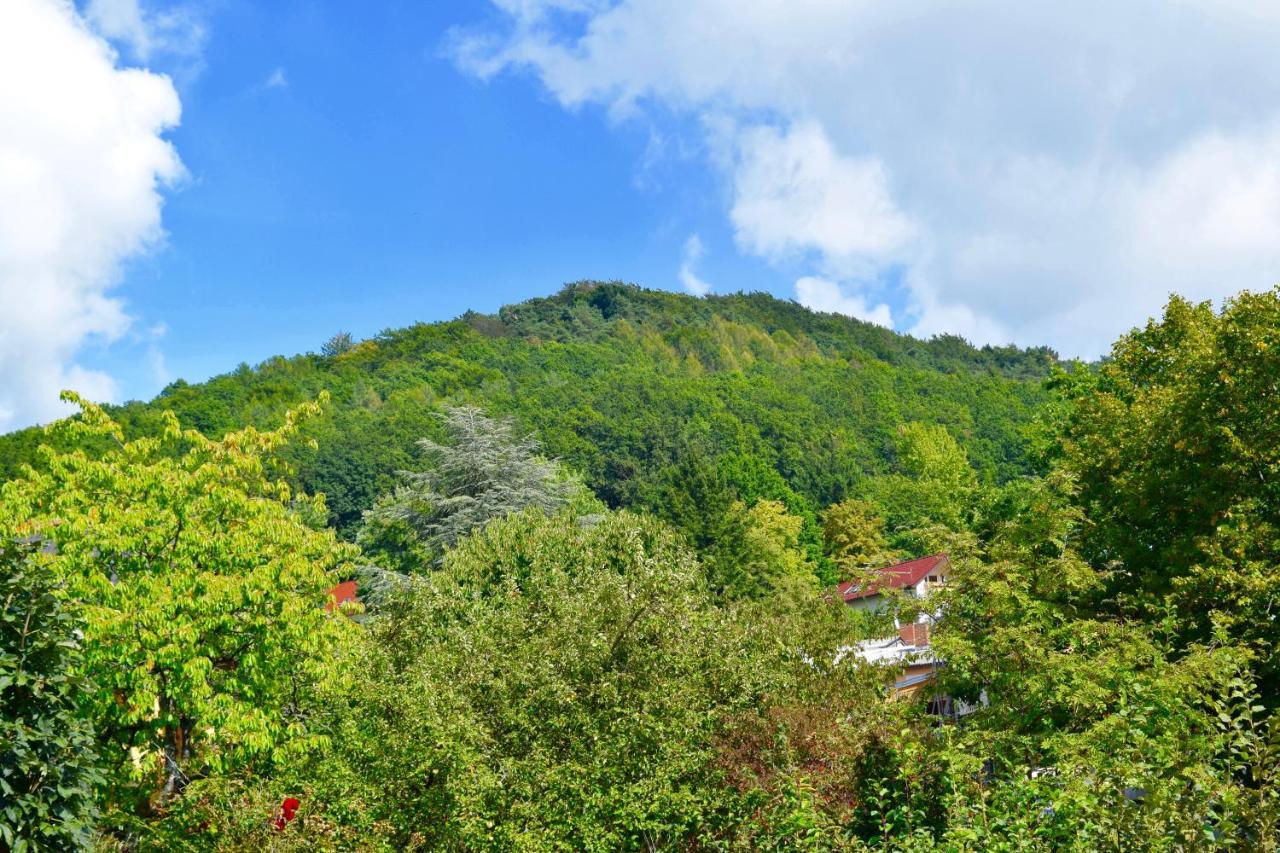 Ferienwohnung Am Geisberg Geisfeld  Exteriör bild